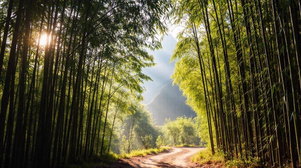 Meilleurs conseils pour une exploration durable en Asie